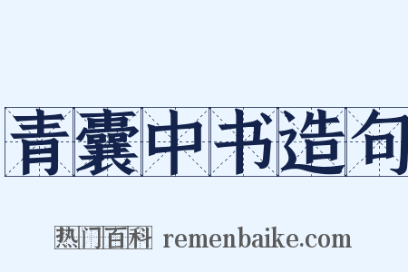 青囊中书造句是什么意思的图片